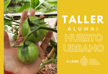 Taller Online: Huerto Urbano
