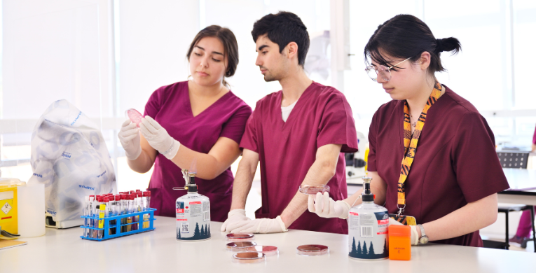 Química y Farmacia