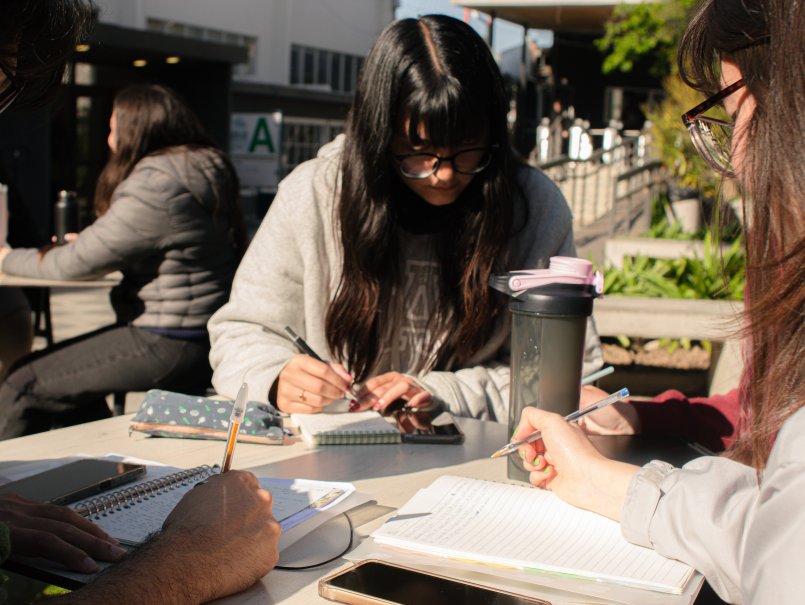 Más de 500 estudiantes adscritos en Minors PUCV