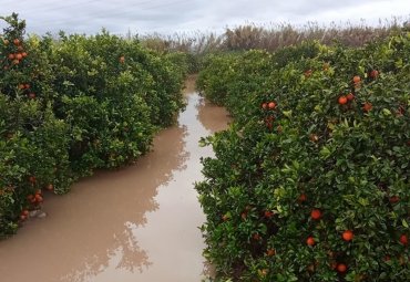 Decana propone medidas que podrían ayudar al impacto económico tras temporal