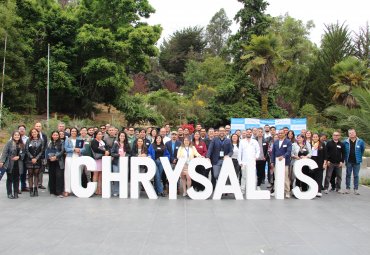 Chrysalis abre convocatoria TIM Activa con becas de hasta un 100% para emprendimientos de todo el país