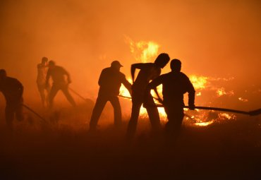 Estudio internacional analiza el impacto del cambio climático en megaincendios