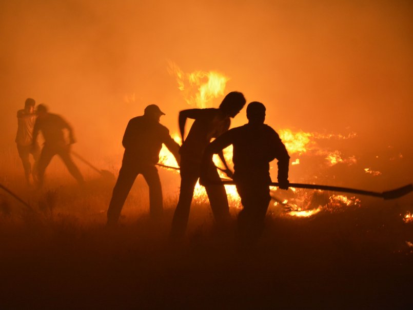 Estudio internacional analiza el impacto del cambio climático en megaincendios