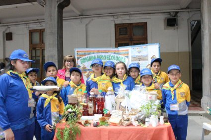 Programa de Emprendimiento Escolar