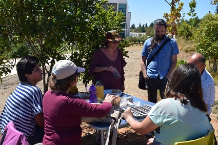 Curso de Huertos Urbanos se impartió en Campus Curauma