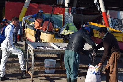 Peces en la V región son potencialmente peligrosos para la población