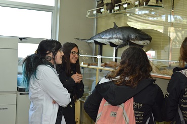 Visita Colegio Tierra del Fuego