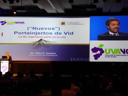 Con presentaciones en Seminario Uvanova y Chilfresh, profesor de Agronomía expone sobre nuevas variedades y portainjertos de uva de mesa