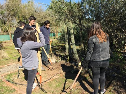 Curso de Manejo de Malezas recupera cactario de la Escuela de Agronomía