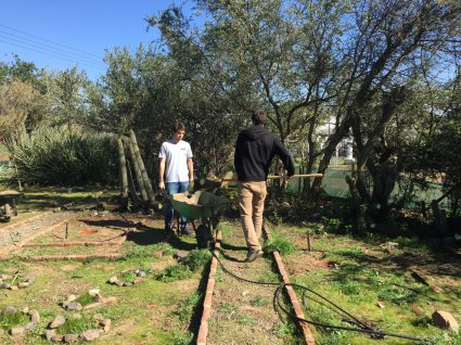 Curso de Manejo de Malezas recupera cactario de la Escuela de Agronomía