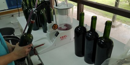 Ex alumnos de Agronomía elaboran vino con la primera cosecha proveniente de la Estación Experimental