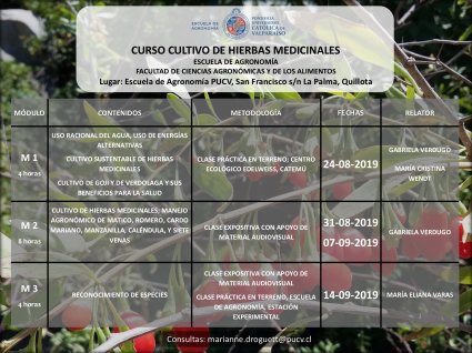 Curso: Cultivo de hierbas medicinales