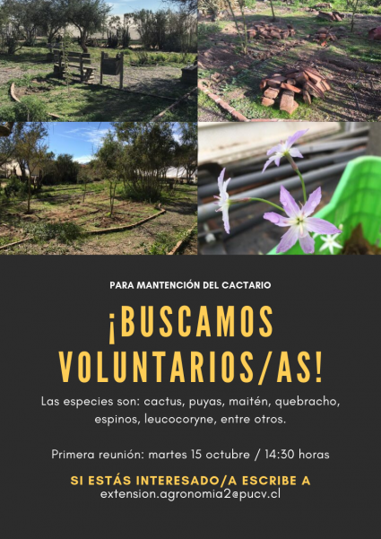 Atención: se buscan voluntarios para la mantención del cactario