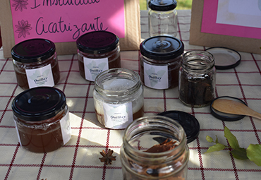 Estudiantes de la asignatura "Uso e identificación de plantas silvestres" presentaron sus proyectos de emprendimiento