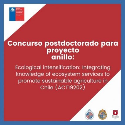 Concurso Postdoctorado para Proyecto Anillo