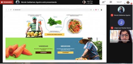 Con éxito se realizó webinar "Agrodesafíos: herramientas para emprender en tiempos de crisis" junto a la Dirección de Incubación y Negocios PUCV