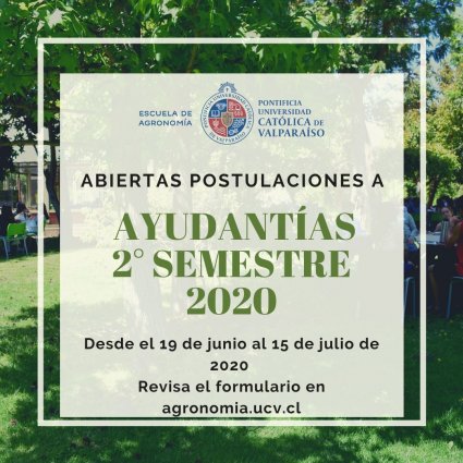 Abiertas las postulaciónes a ayudantías para el segundo semestre 2020