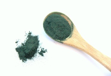 Estudiante de último año adjudica fondo DIE PUCV para desarrollar kit de autoproducción de fertilizante orgánico a base de Espirulina