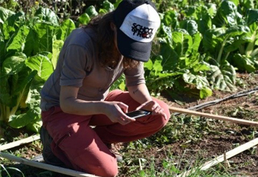 Proyecto Biopatch avanza en recuperación de equilibrio biológico y bioquímico del suelo