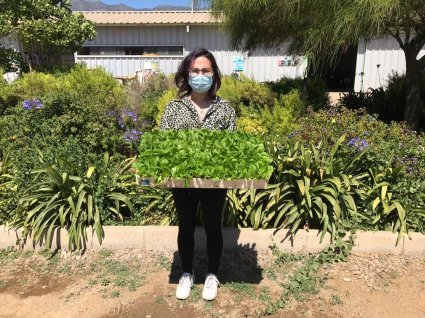 Escuela de Agronomía dona plantines para abastecer huertos comunitarios de Santa María atendidos por FUSUPO