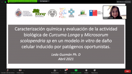 Escuela de Agronomía se une al Día de la Salud entregando plantas nativas medicinales propagadas in vitro a la comunidad de Rapa Nui