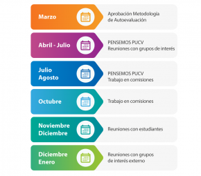 Proceso de Autoevaluación Institucional 2021