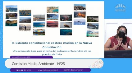 Investigadora Rocío Parra expone ante la Comisión de Medio Ambiente de la Convención Constitucional