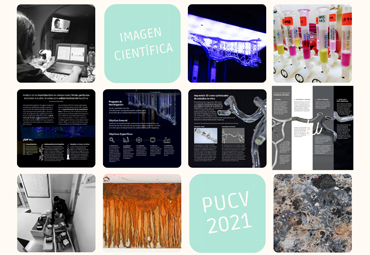 Dirección de Investigación realizó premiación del Concurso Imagen Científica PUCV 2021