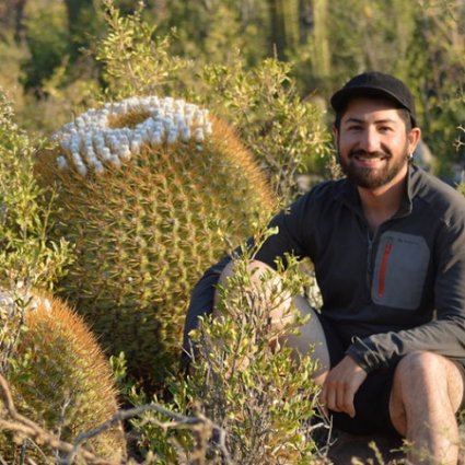 Por primera vez un Tribunal Ambiental detiene faena minera por presencia de especie en peligro de extinción