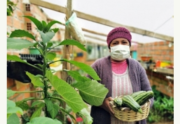 Proyecto colaborativo Chile-Brasil estudiará efectos del COVID-19 en los sistemas agroalimentarios