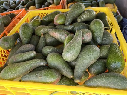 Escuela de Agronomía PUCV dona frutas a comedores solidarios de la Diócesis de Valparaíso