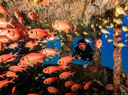 Me enganche del buceo desde la primera inmersión