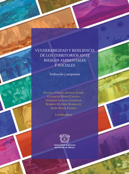 Capítulo escrito por la profesora Valentina Schmitt es publicado en libro de la Red Internacional de Territorios, Sustentabilidad y Gobernanza en México y Polonia (RETESyG)