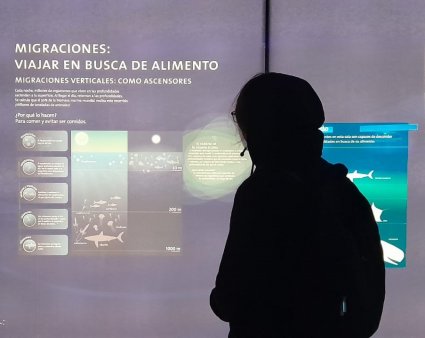 Estudiantes BETA PUCV recorren Museo de Historia Natural para aprender vivencialmente