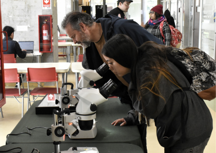 Instituto de Biología PUCV celebra aniversario junto al fascinante mundo de las abejas