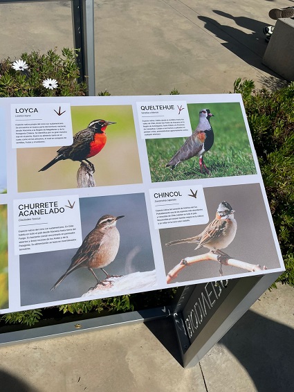 Campus Curauma avanza en reconocimiento de Biodiversidad