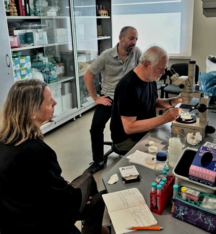 Profesor del Instituto de Química PUCV, Andrés F. Sarrazín, se vincula y colabora con la comunidad científica internacional.