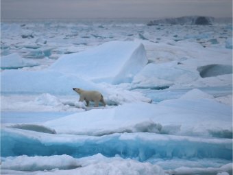 Oceanógrafa de la PUCV explora los efectos del cambio climático en Groenlandia: Una experiencia desde el mar