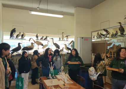 Estudiantes de cuarto medio visitan el Instituto de Biología en jornada de Día Abierto PUCV 2024