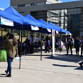Comisión CAHVDA participó en la Feria Vive Salud en Campus Curauma