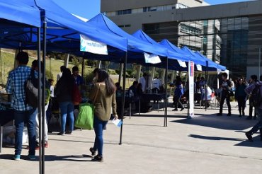 Comisión CAHVDA participó en la Feria Vive Salud en Campus Curauma