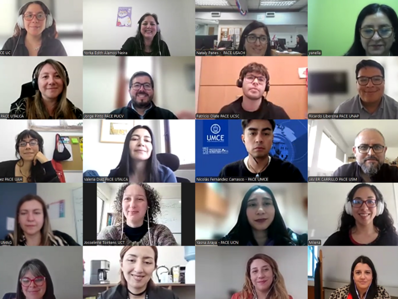 Pantallazo a encuentro online de profesionales PACE de las instituciones de educación superior.