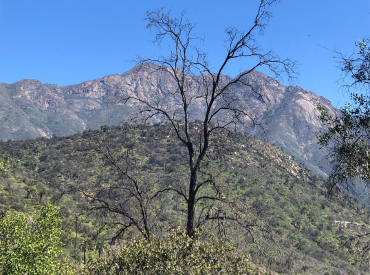 PUCV lidera diseño del primer inventario nacional de impactos del cambio climático