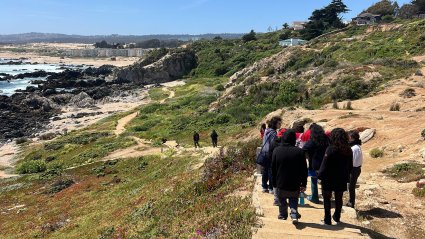 Estudiantes de enseñanza básica participan de actividad a terreno apoyado por el Instituto de Biología y Laboratorio AEF