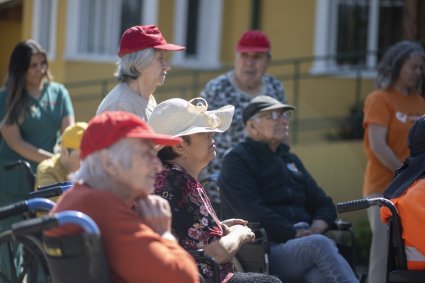 Entre árboles y memorias: un aprendizaje compartido en el Hogar San Alberto Hurtado