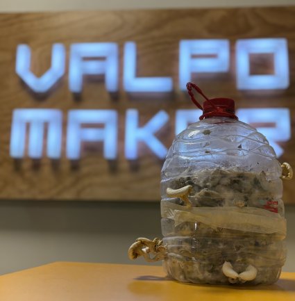 Ecosistema de innovación PUCV da vida a FungiSound, proyecto de paneles acústicos con micelio