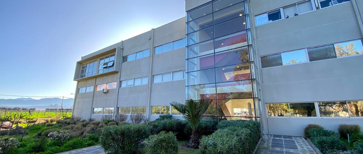 Postgrados de Agronomía PUCV avanzan en procesos clave para fortalecer su calidad y proyección académica