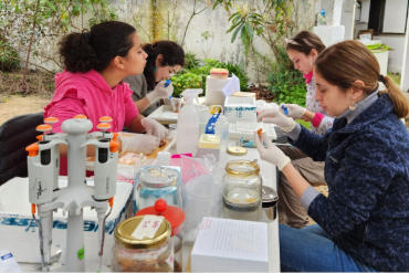 Académica PUCV busca fortalecer la salud de los moluscos marinos frente a la crisis climática