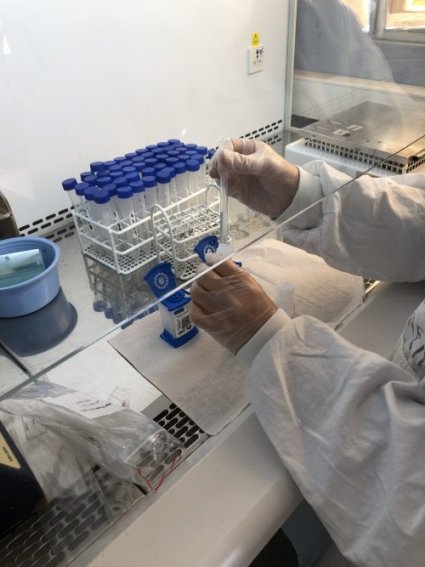 Profesor Jorge Olivares junto al Hospital Eduardo Pereira realizaron importante investigación científica relacionada a la resistencia a los antibióticos