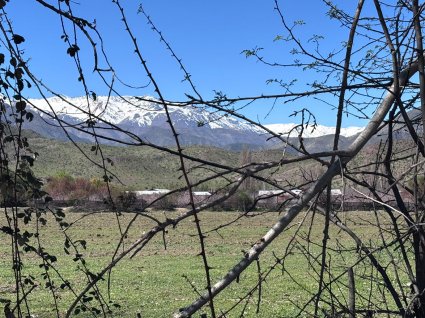 En marcha proyecto “Resonancias del Aconcagua: música, ilustración y fe popular”